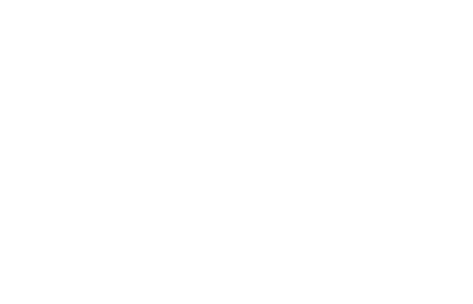 Finte-Engineering
